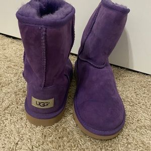 Purple classic ugg boots